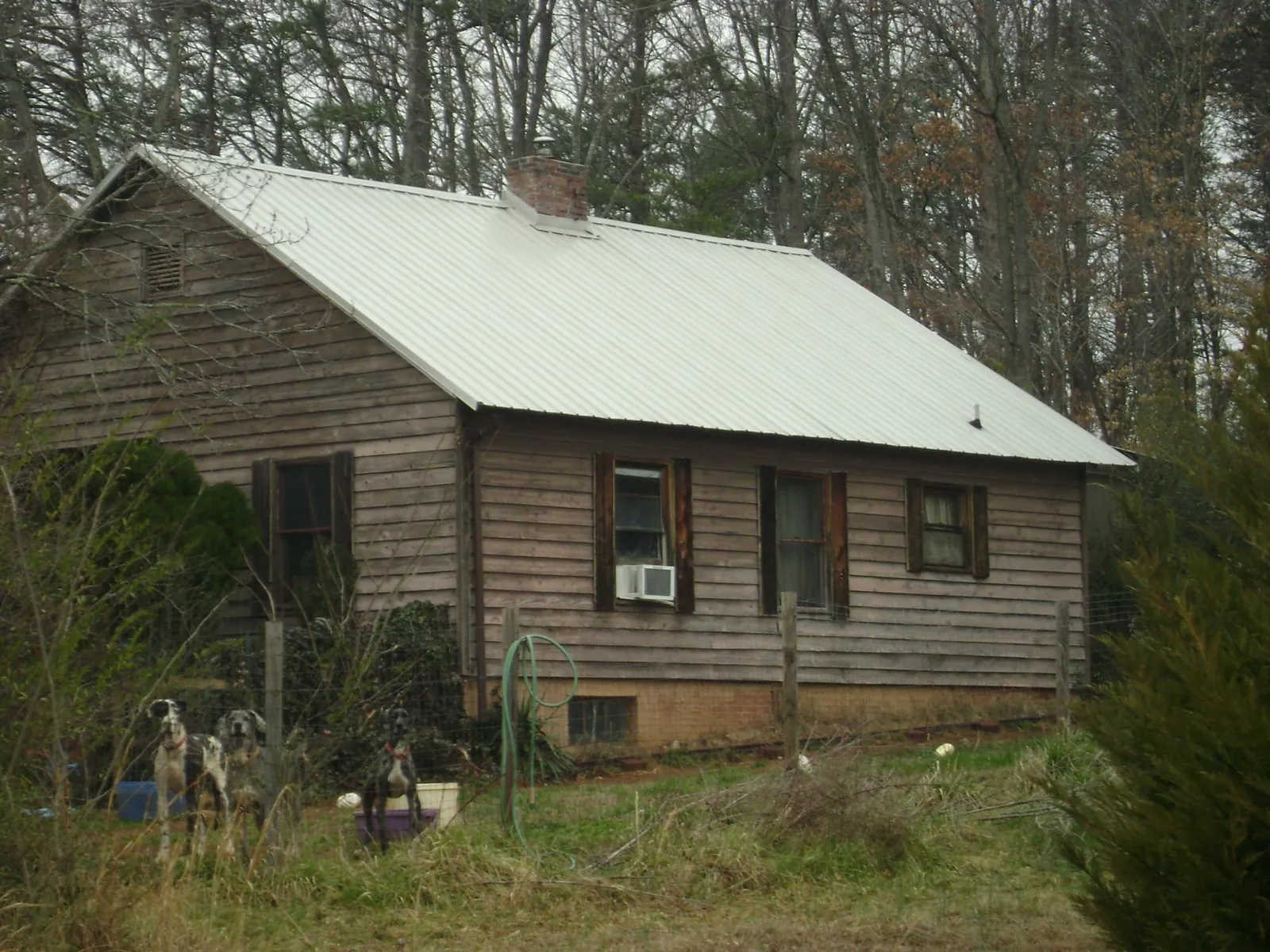White metal roof on an old wood sided farmhouse, from a Asphalt Shingle Roof Repair job in Kelford
